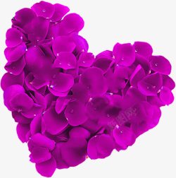 紫色花瓣心形素材