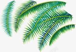 创意合成手绘绿色的棕榈叶素材