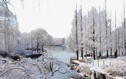 北京植物园北京植物园雪景八高清图片