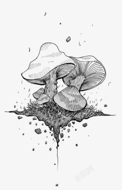 菌类插画图片手绘蘑菇高清图片
