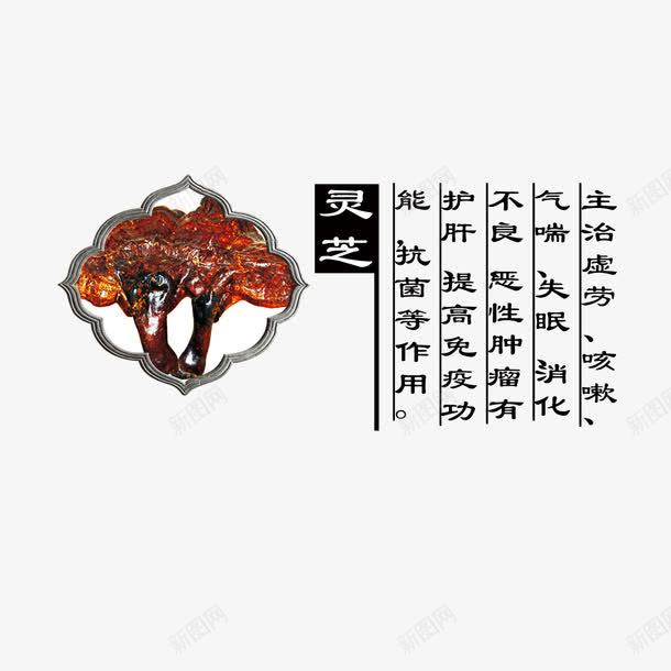 灵芝png免抠素材_88icon https://88icon.com 中药 产品实物 灵芝 药材