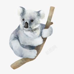 卡通水彩手绘树袋熊矢量图素材