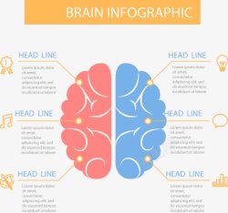 右脑手绘大脑分析高清图片