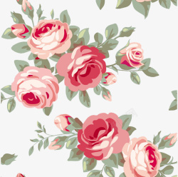 玫瑰花朵背景素材