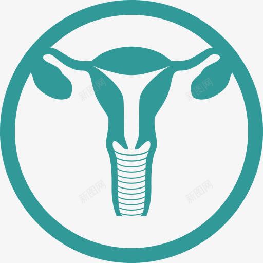 子宫医学png免抠素材_88icon https://88icon.com Uterus 子宫