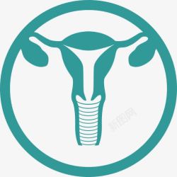 Uterus子宫医学高清图片