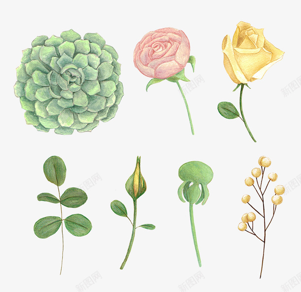 创意合成花朵效果素描手绘png免抠素材_88icon https://88icon.com 创意 合成 效果 素描 花朵