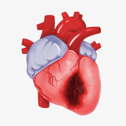 心脏疾病卡通插画素材