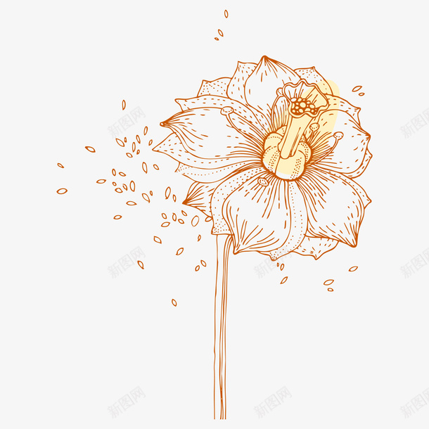 手绘花卉png免抠素材_88icon https://88icon.com 彩绘 手绘 手绘花卉 授粉 插画 植物 植物插画 花卉 装饰图案