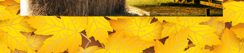 黄色秋叶立秋秋分节气海报背景psd设计背景_88icon https://88icon.com 中国风 二十四节气 枫叶 模板背景 海报背景 温暖 秋分 秋叶 秋天海报 秋收 立秋 节气展板 黄色