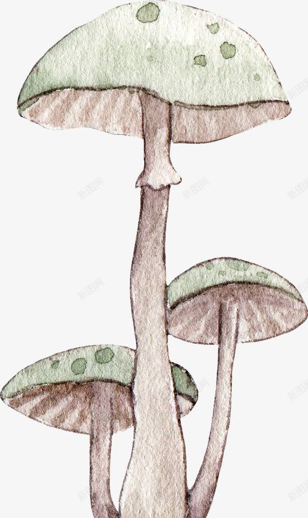 绿色手绘的小蘑菇png免抠素材_88icon https://88icon.com 卡通手绘 手绘蘑菇 菌类 蘑菇 装饰图 食材 食物