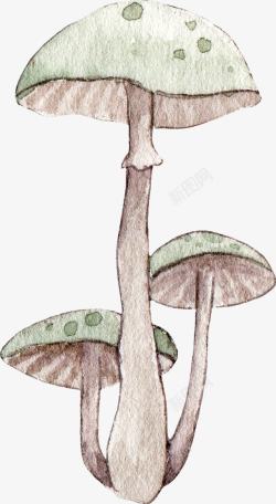 绿色手绘的小蘑菇素材