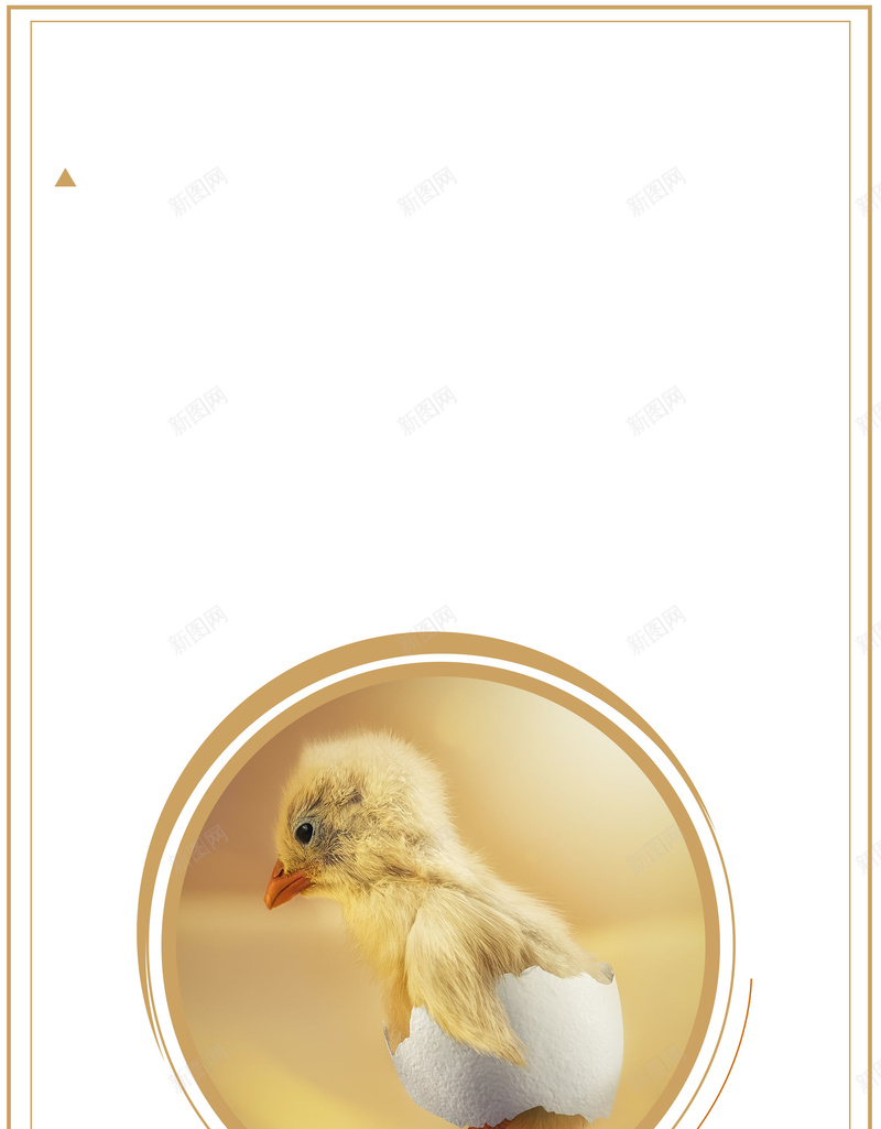 突破自我破壳而出psd设计背景_88icon https://88icon.com 150PPI PSD源文件 企业文化 分层文件 励志 励志文化宣传 平面设计 突破自我 自我突破 重获新生