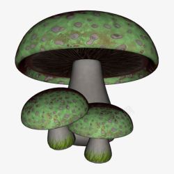 绿色蘑菇素材