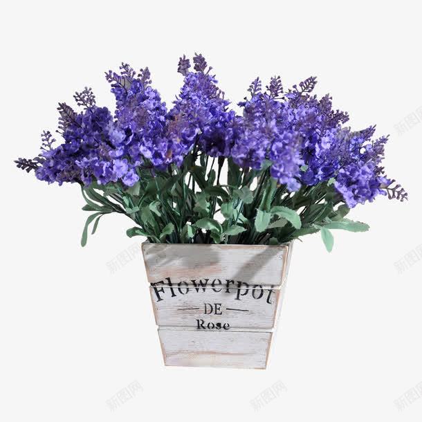 紫色的花png免抠素材_88icon https://88icon.com 植物 紫色花 花 花篮