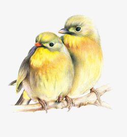 黄鹂鸟两个黄鹂鸣翠柳高清图片