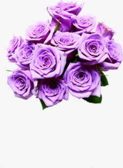紫色鲜花玫瑰花束素材
