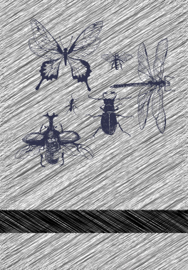 手绘昆虫昆虫条纹背景矢量图背景