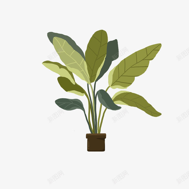 绿色植物盆栽1png免抠素材_88icon https://88icon.com 叶子 春天 植物 盆栽