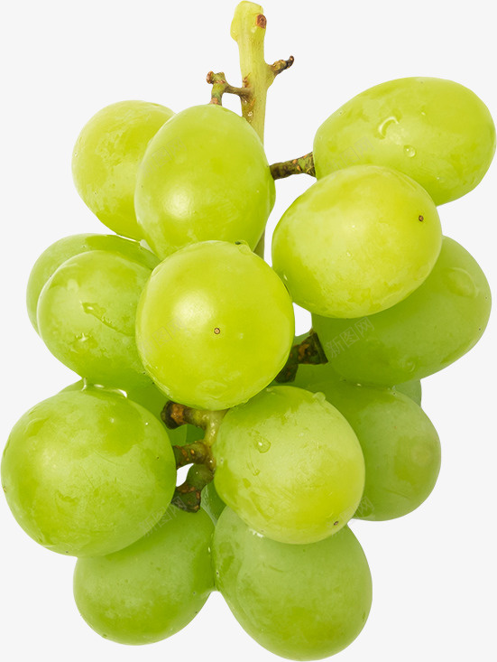 一串新鲜的绿葡萄png免抠素材_88icon https://88icon.com 一串 带水珠 提子 水果 绿色 葡萄