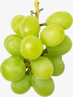 一串提子一串新鲜的绿葡萄高清图片