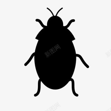 甲虫免扣bug小虫图标图标