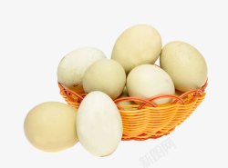 鸡蛋绿壳素材