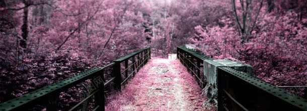 道路jpg设计背景_88icon https://88icon.com 道路