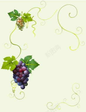 矢量手绘美食葡萄藤葡萄酒背景背景