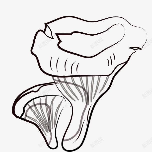 手绘的蘑菇png免抠素材_88icon https://88icon.com png图形 png装饰 手绘 菌类 蘑菇 装饰