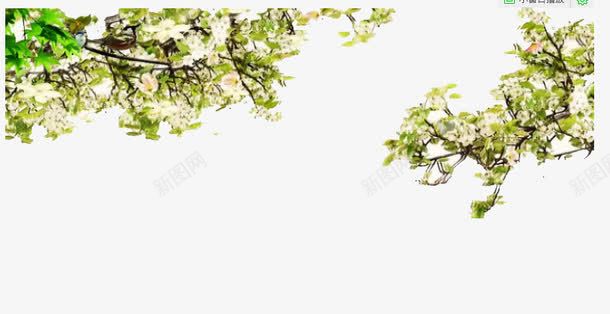 梨花边框png免抠素材_88icon https://88icon.com 免费 梨花树 田园 花朵 装饰图