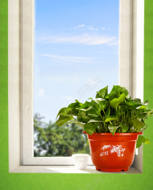 窗台上的盆栽窗台上的植物背景