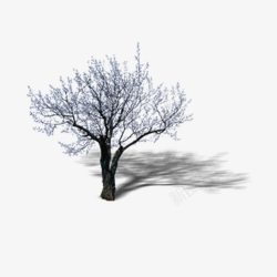 景观鸟瞰树素材