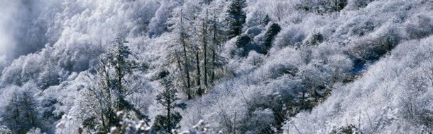 雪景背景自然背景背景