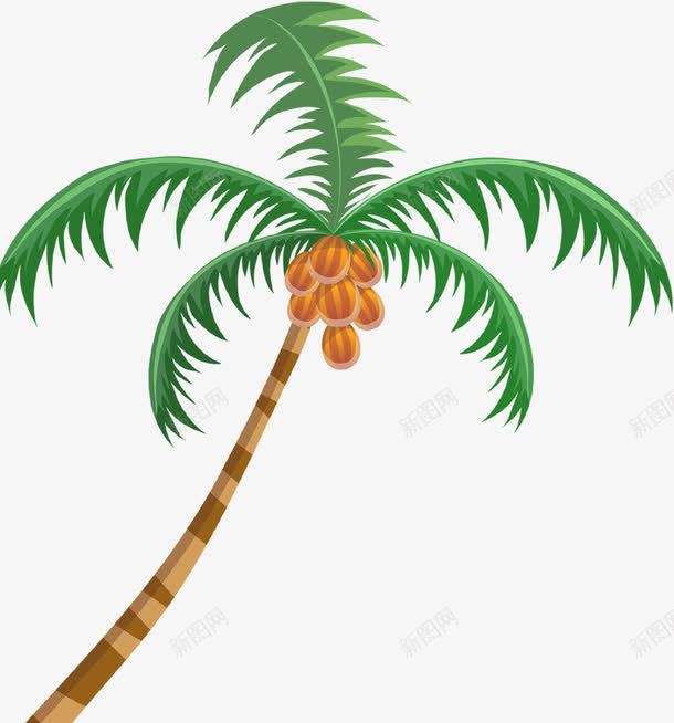 卡通手绘椰子树植物png免抠素材_88icon https://88icon.com 卡通 植物 椰子树