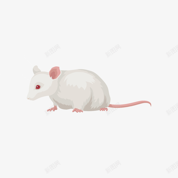 一只小白鼠矢量图eps免抠素材_88icon https://88icon.com 一只 一只小白鼠 实验小白鼠 小白鼠 小白鼠PNG 矢量图 矢量小白鼠