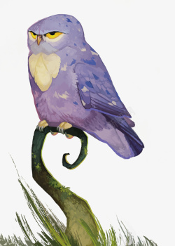 紫色猫头鹰猫头鹰矢量图高清图片