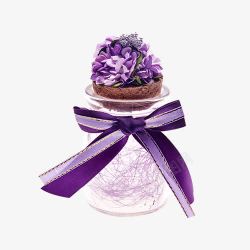 鲜花许愿瓶唯美紫色许愿瓶高清图片