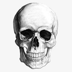 骸骨PNG图素描骷髅高清图片