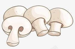 白色手绘双孢蘑菇素材