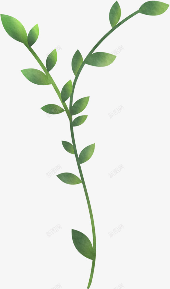 花绿色花径叶子png免抠素材_88icon https://88icon.com 叶子 绿色 花 茎叶