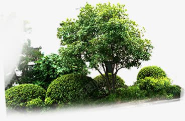 绿色树林小区景观装饰png免抠素材_88icon https://88icon.com 小区 景观 树林 绿色 装饰