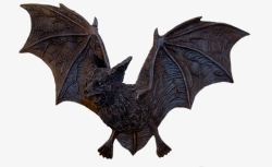 万圣节展翅的吸血鬼蝙蝠素材
