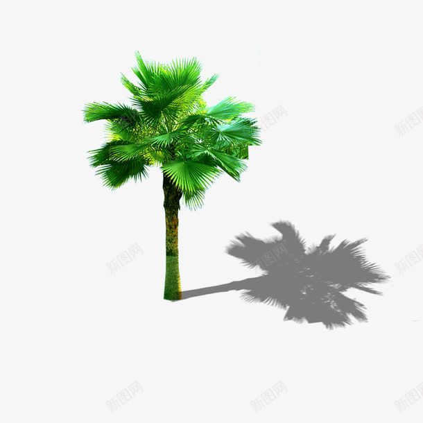 景观鸟瞰树png免抠素材_88icon https://88icon.com 景观树 景观鸟瞰树 树木 鸟瞰树