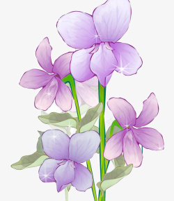 紫罗兰花瓣素材