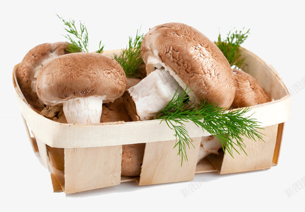 一篮筐食材png免抠素材_88icon https://88icon.com 叶子 篮子 蔬菜 蘑菇 褐色 食物