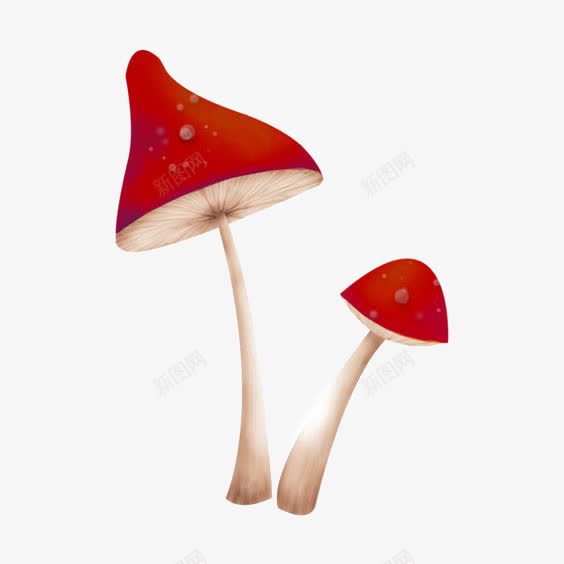 红蘑菇插画png免抠素材_88icon https://88icon.com 卡通蘑菇 小蘑菇 手绘蘑菇 毒蘑菇 红菇 蘑菇免扣元素