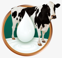 牛初乳使用元件素材