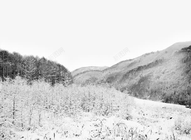 灰色冬季雪地风景png免抠素材_88icon https://88icon.com 冬季 灰色 雪地 风景