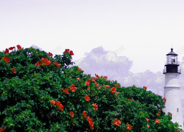 绿色植物鲜花背景png免抠素材_88icon https://88icon.com 景点 绿色植物 自然风景 风景 鲜花背景